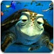 海龟历险