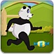 小熊猫寻食