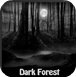 黑暗森林找东西
