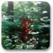 森林中隐藏的蚂蚁