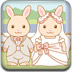 小兔兔的婚礼